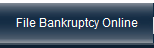 File Bankruptcy Online