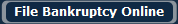 File Bankruptcy Online