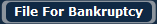 File For Bankruptcy