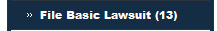 File Basic Lawsuit (13)