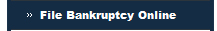 File Bankruptcy Online