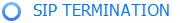 SIP TERMINATION