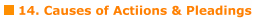 14. Causes of Actiions & Pleadings
