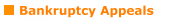 Bankruptcy Appeals