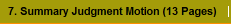 7. Summary Judgment Motion (13 Pages)