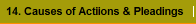 14. Causes of Actiions & Pleadings