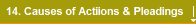 14. Causes of Actiions & Pleadings