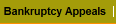 Bankruptcy Appeals