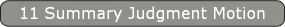 11 Summary Judgment Motion