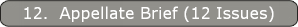 12.  Appellate Brief (12 Issues)
