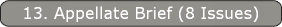 13. Appellate Brief (8 Issues)