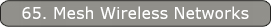 65. Mesh Wireless Networks