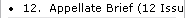 12.  Appellate Brief (12 Issues)