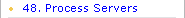 48. Process Servers